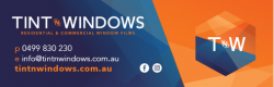 Tint n Windows logo